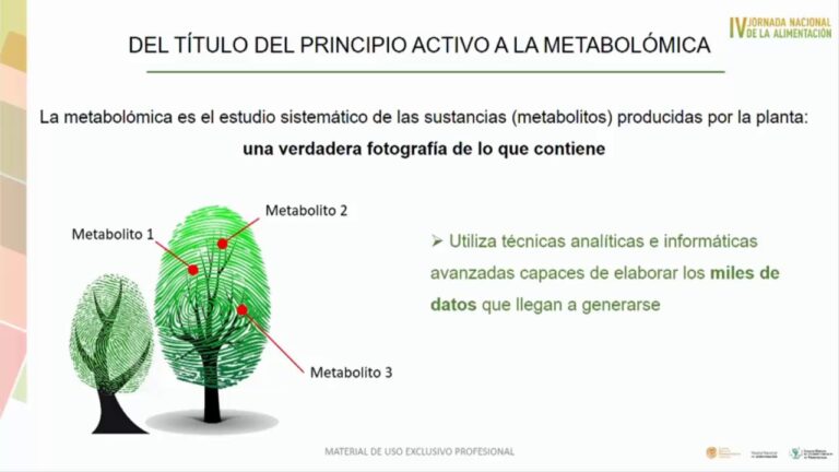 Innovación en Productos de Farmacia Natural: Nuevas Tendencias y Beneficios