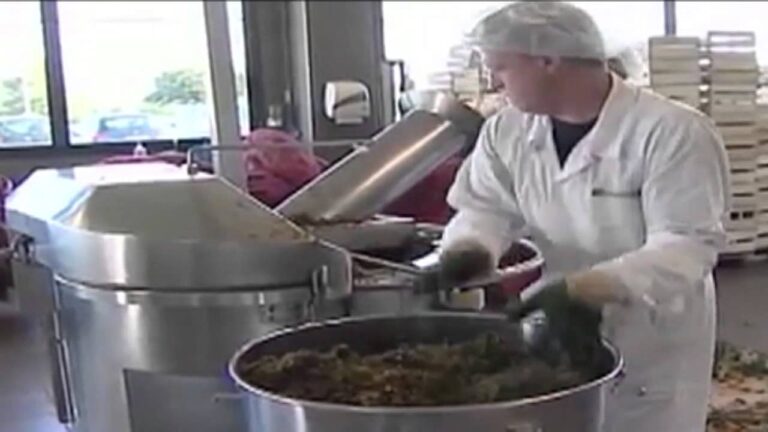 Homeopat&iacute;a: Una Alternativa en Medicina Natural