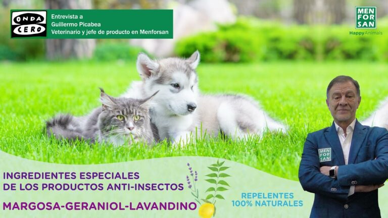 Soluciones Efectivas: Productos Especializados para la Protecci&oacute;n Contra Insectos