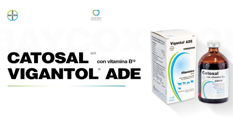 Suplementos Efectivos para la Salud Reproductiva en Farmacia