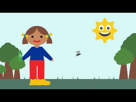 Cuidado Personal: Prevenci&oacute;n Efectiva contra Picaduras de Insectos