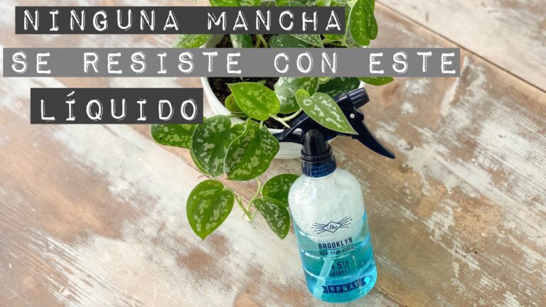 Efectividad de Limpiadores Suaves de Farmacia