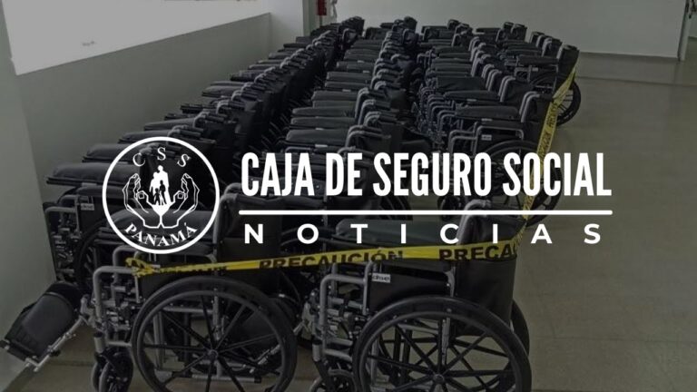 Sillas de Ruedas: Esenciales en Equipos M&eacute;dicos