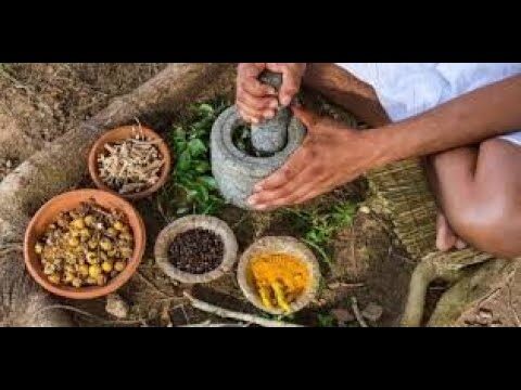 Remedios Caseros: Tradiciones y Sabidur&iacute;a Popular