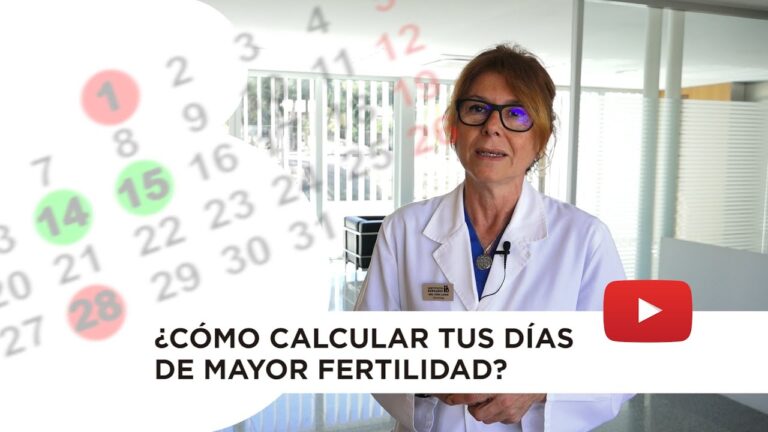 Test de Ovulaci&oacute;n: La Clave para Concebir con &Eacute;xito