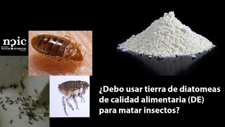 Cuidado Personal de Calidad con Protecci&oacute;n Insectos