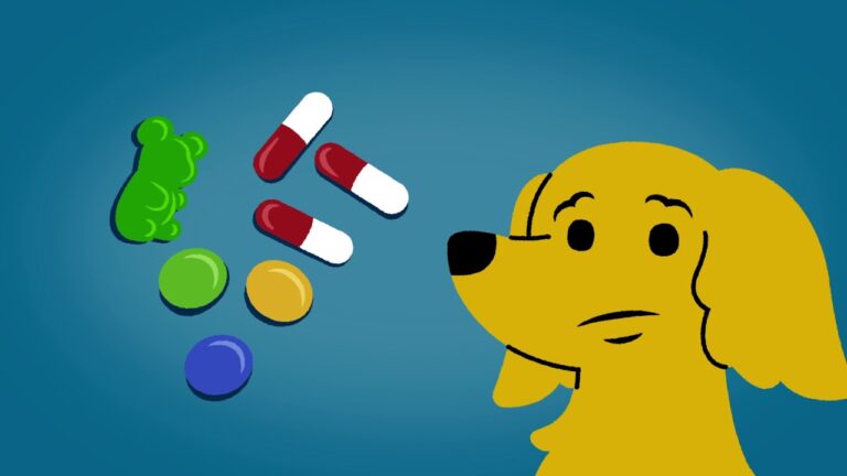 Medicamentos Seguros para Ni&ntilde;os en Farmacias: Gu&iacute;a Esencial