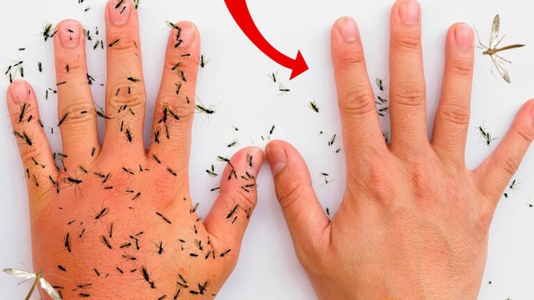Repelente de Insectos Seguro y Efectivo para Niños