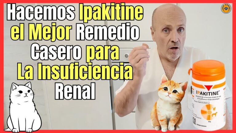 Incorporando la Homeopatía de Farmacia en Tu Rutina de Salud