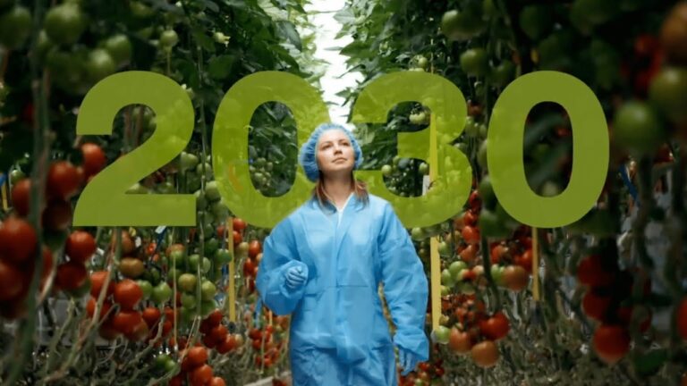 Salud Infantil: Productos Especializados para el Bienestar de los M&aacute;s Peque&ntilde;os