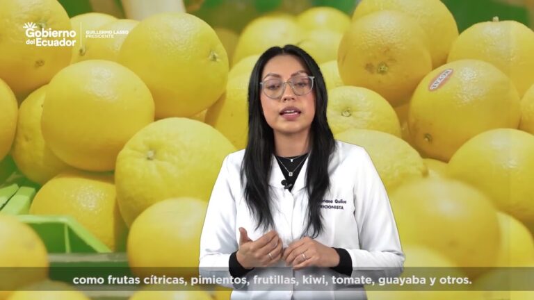 Suplemento de Hierro: Esencial para tu Salud