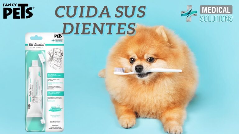Prevenci&oacute;n de Sarro: Las Mejores Pastas Dentales