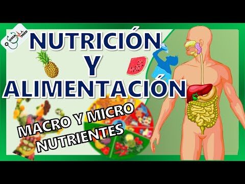 Cuidado Especializado en Salud Infantil: Productos Esenciales en Farmacia