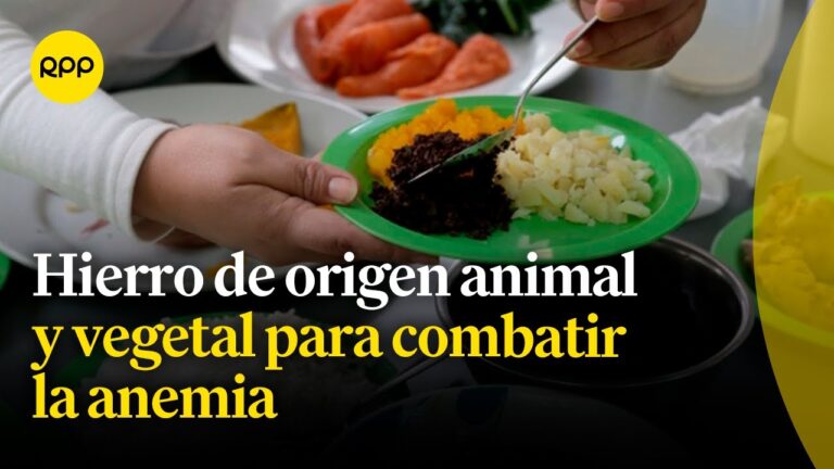 Suplemento de Hierro: Soluci&oacute;n Efectiva Contra la Anemia