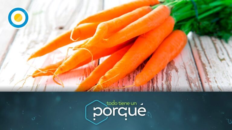 Productos de Cuidado Personal de Farmacia para una Vista Saludable