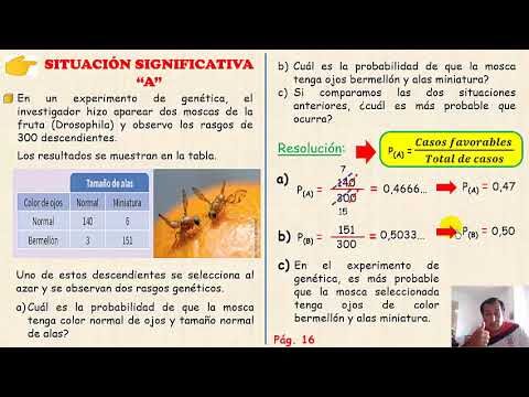 La clave de las recetas autom&aacute;ticas en la farmacia