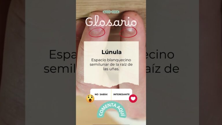 Productos de Cuidado Personal de Farmacia: Protección Solar Esencial