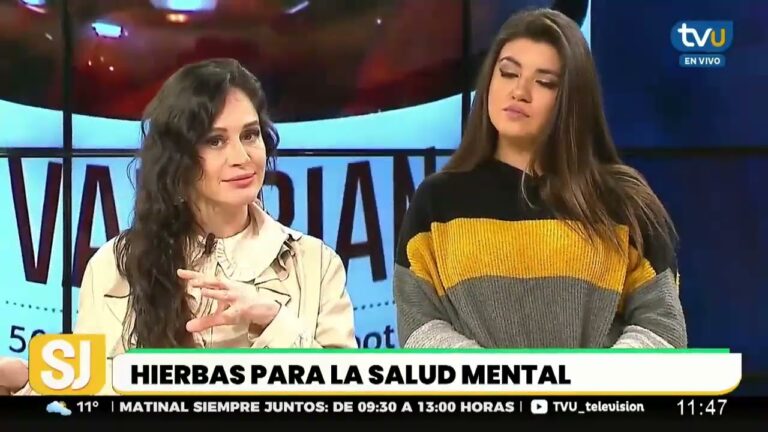 Elixires Homeop&aacute;ticos: Remedios Naturales Efectivos