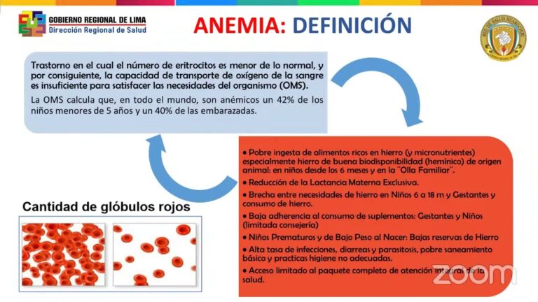 Suplemento de Hierro: Impacto en la Salud