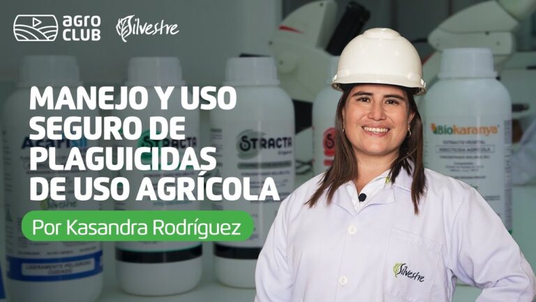 Insecticidas en Cuidado Personal: Riesgos y Alternativas en Farmacia
