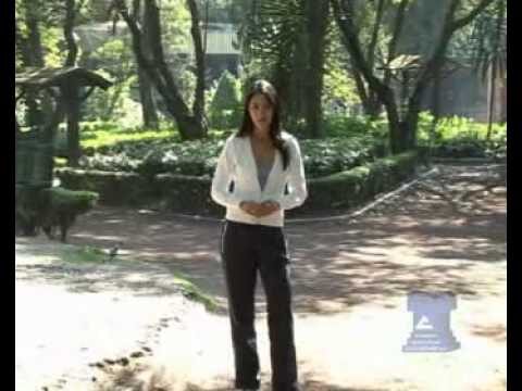 Productos Naturales: Soluciones Efectivas de Farmacia y Herbolario