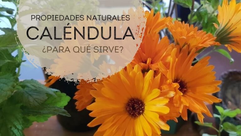 Enjuagues Terapéuticos para Aliviar Encías Inflamadas