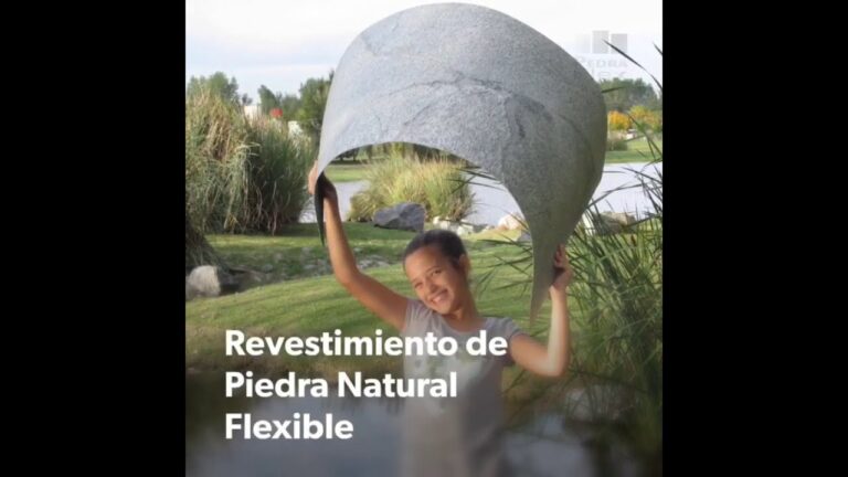Innovación en Sillas de Ducha para Farmacias