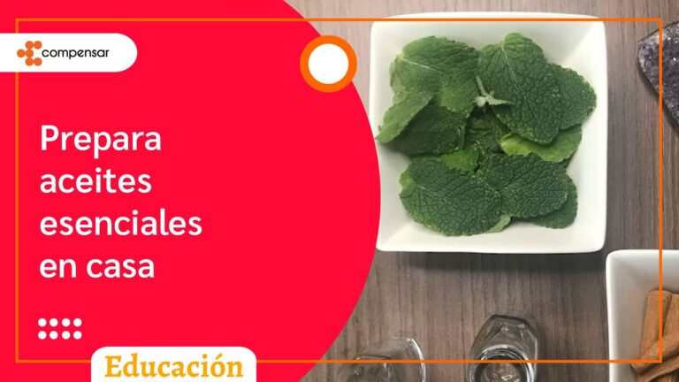 Usos Terap&eacute;uticos de Aceites Esenciales en Remedios Naturales